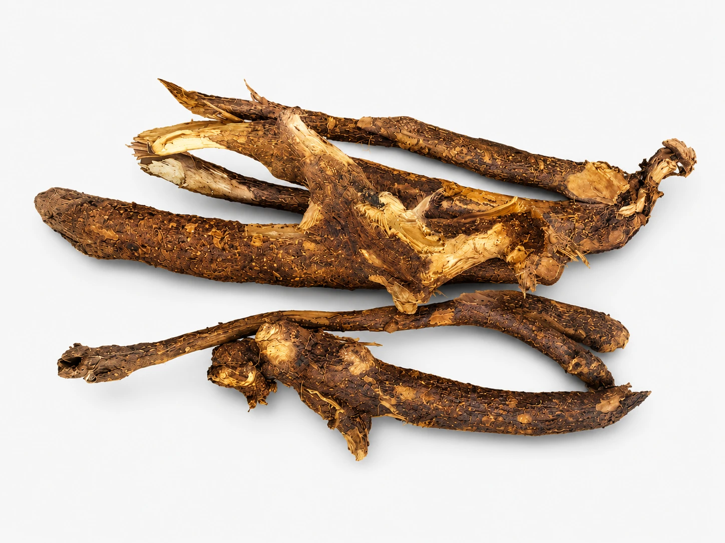 Iboga root bark showing the natural plant material
